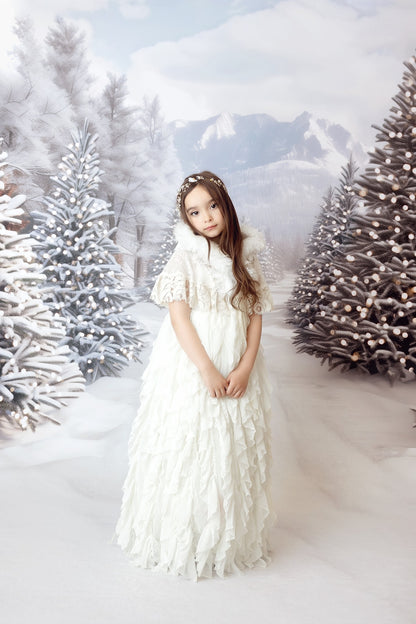 Snowy Mountain Tree Farm - Room