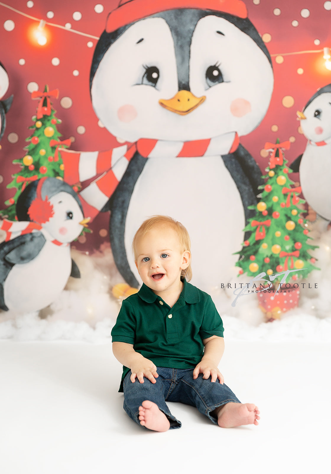 Snowy Penguin Friends