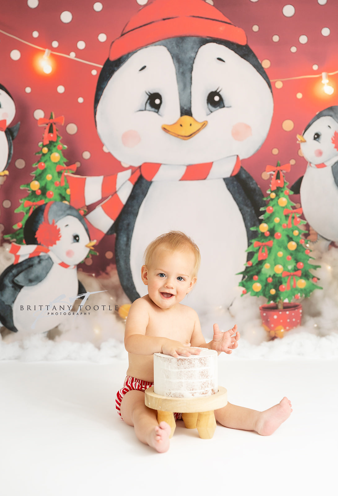 Snowy Penguin Friends