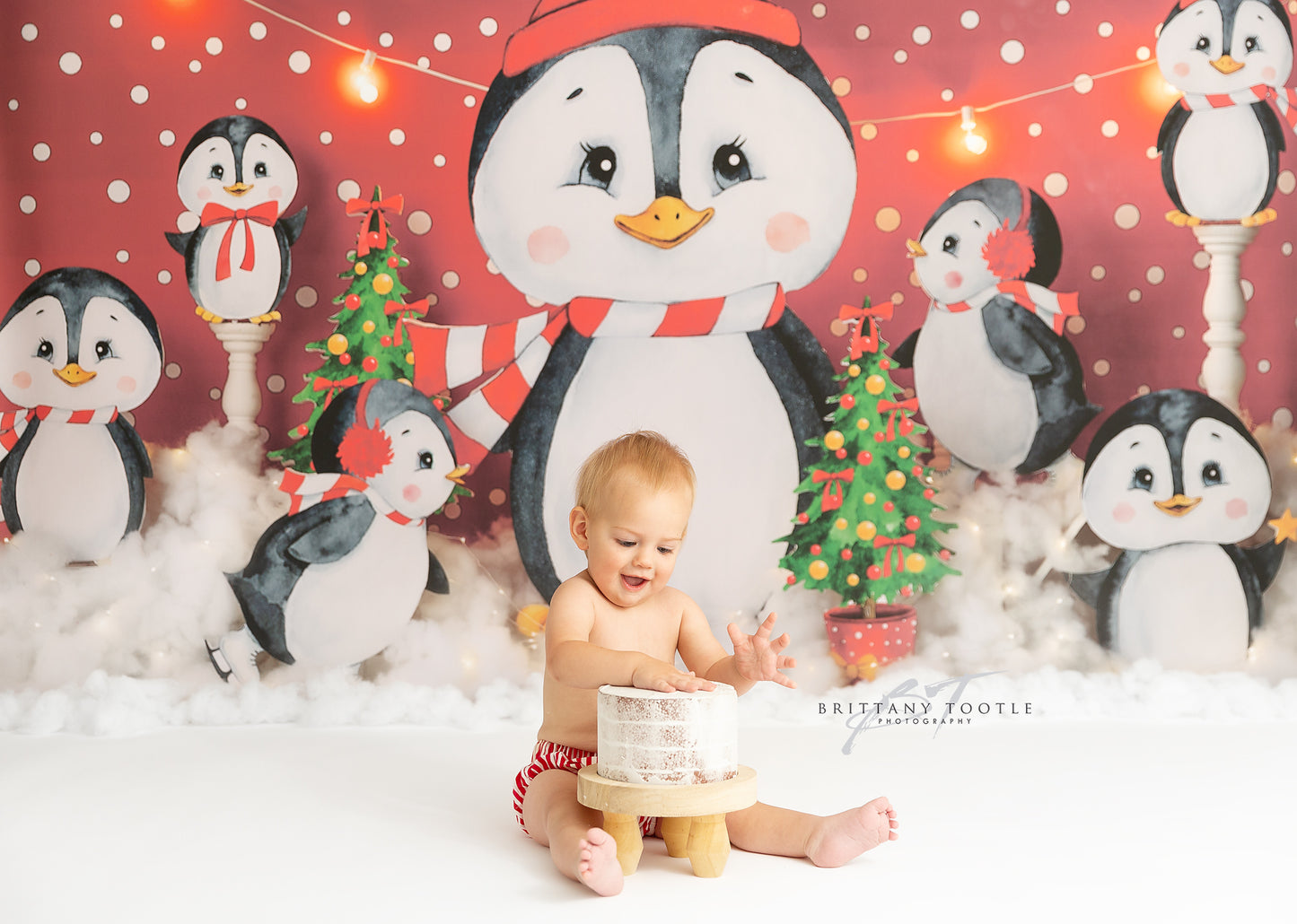 Snowy Penguin Friends