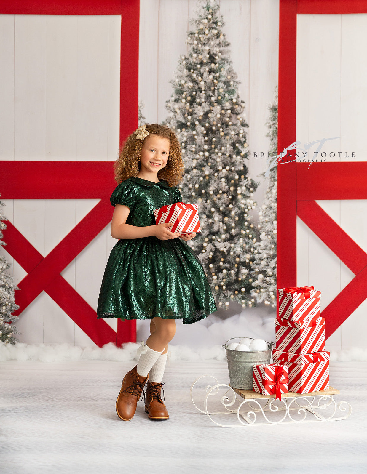 Snowy Tree Farm Entry