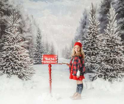 Snowy Tree Farm Trail - Room
