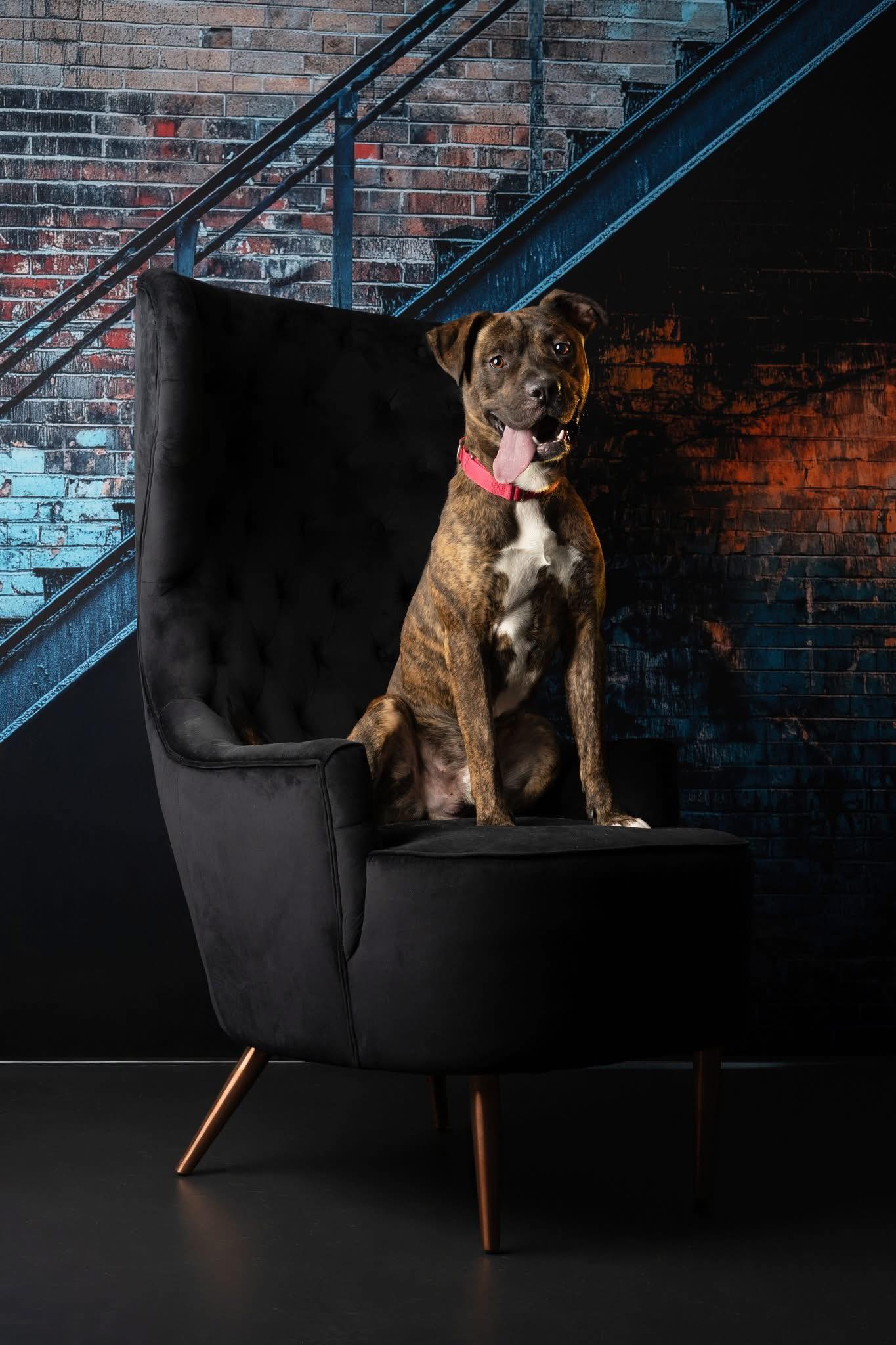 Steel & Spray - With Sweep Option