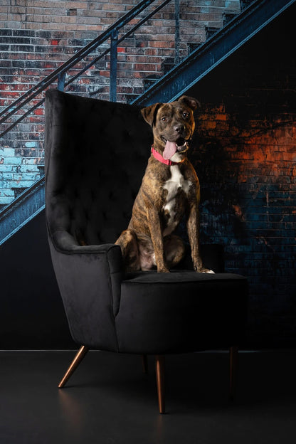 Steel & Spray - With Sweep Option