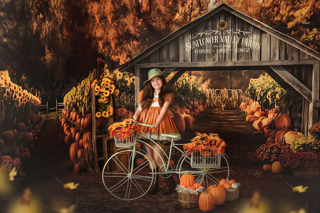 Sunflower Valley Farms - Room