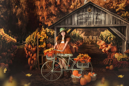 Sunflower Valley Farms - Room