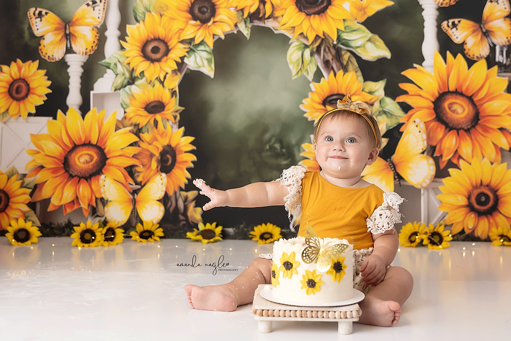 Sunny Flowers & Butterflies