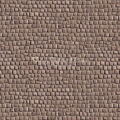 Market Place Cobblestone Floor