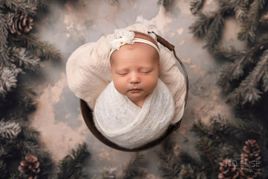 Timeless Pines - Petite