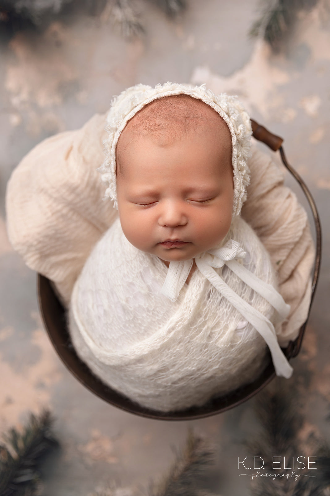 Timeless Pines - Petite