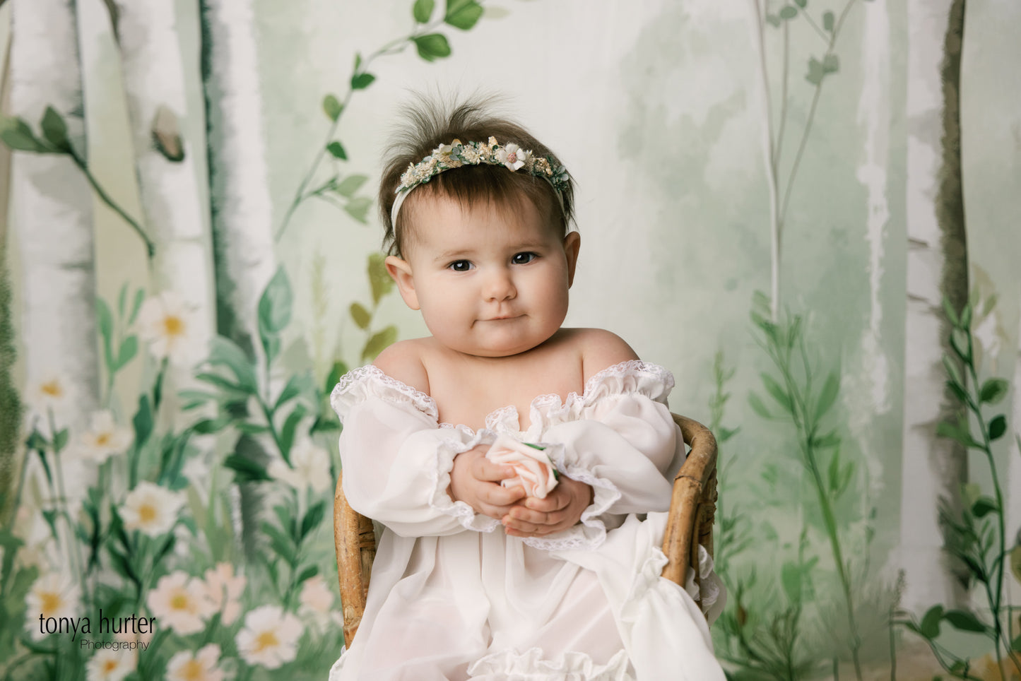 Painted Birch Forest - With Sweep Option