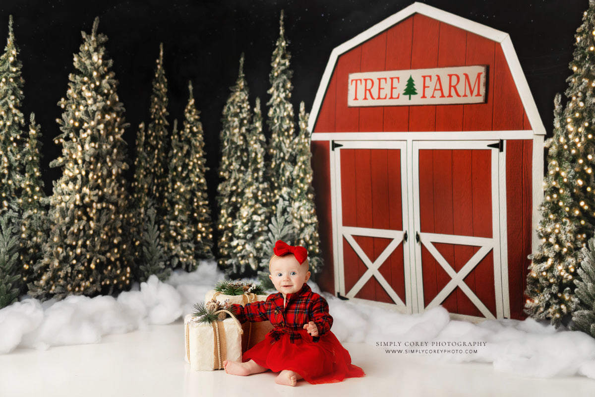 Tree Farm Barn 2pc Mini Room