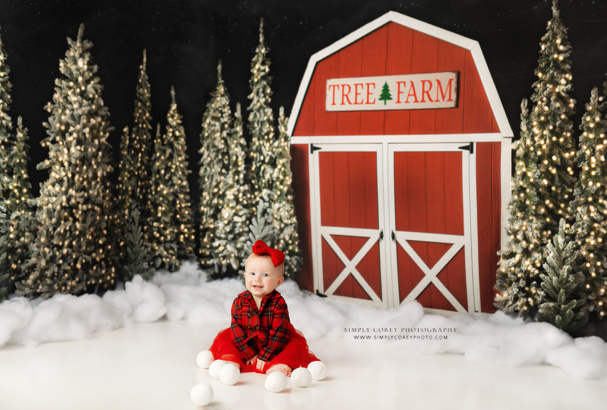 Tree Farm Barn