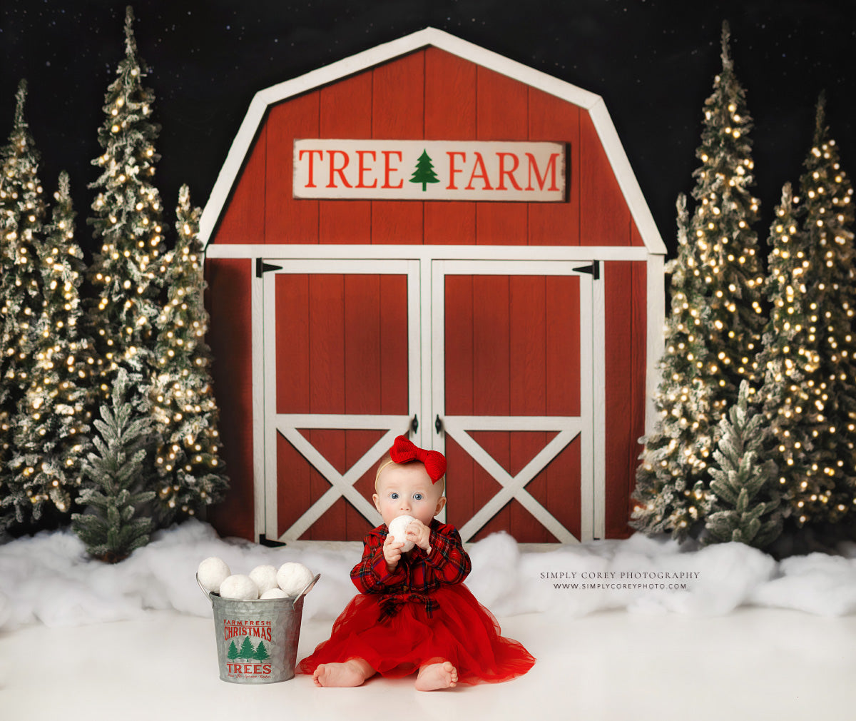 Tree Farm Barn 2pc Mini Room