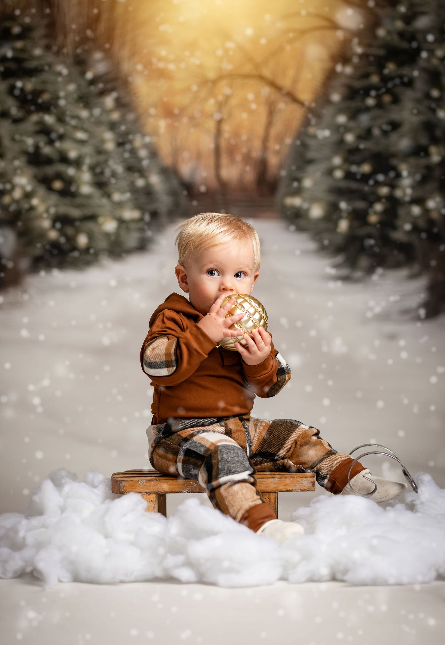 Twinkling Pines Trail - With Sweep Option