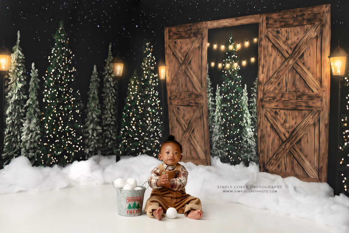 Urban Tree Farm 2pc Mini Room