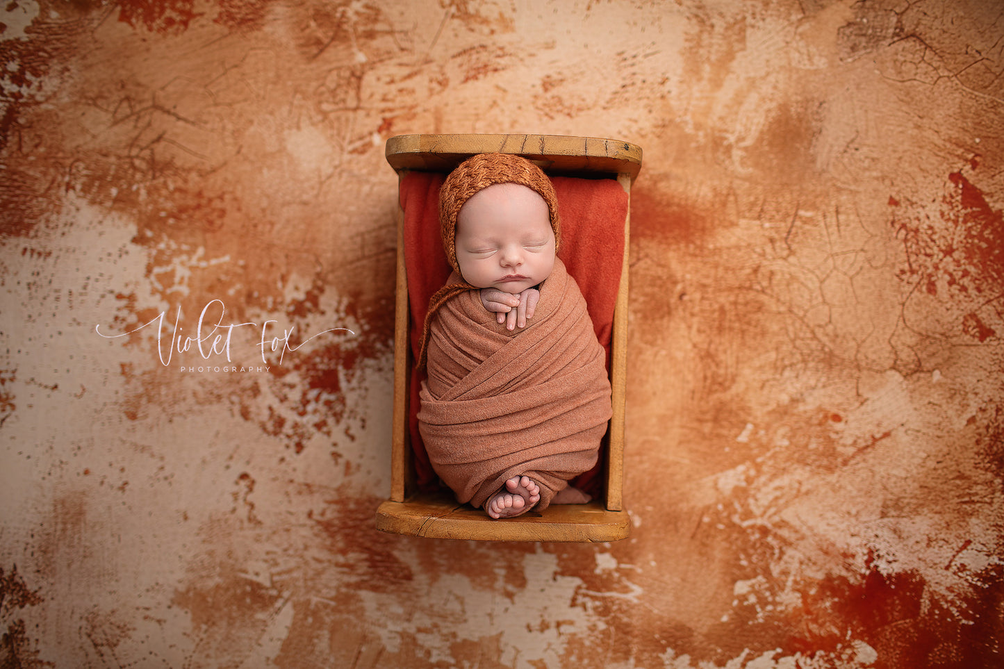 Terra Cotta - Petite