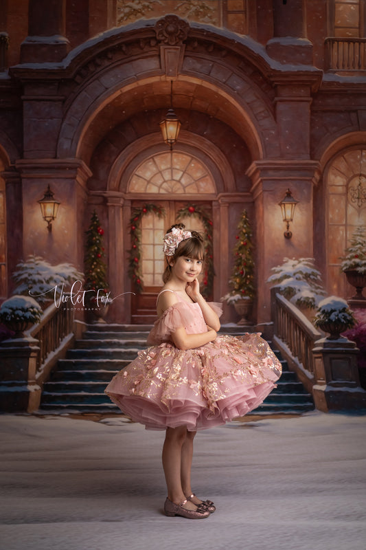 Glistening Snowy Entry - With Sweep Option