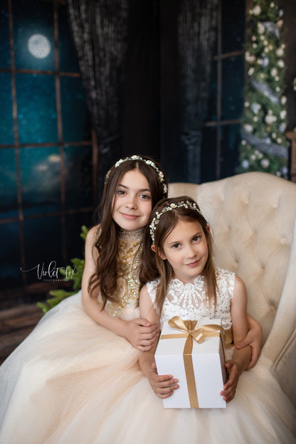 Serene Moody Moonrise