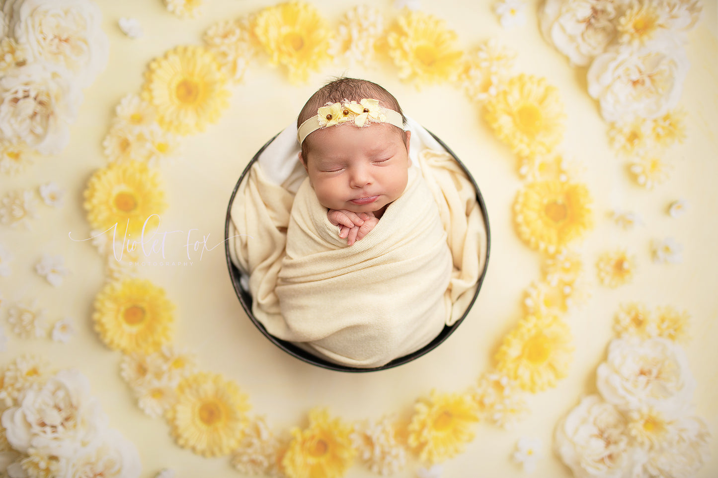 Delicate Daisy - Petite