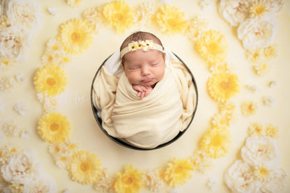 Delicate Daisy - Petite