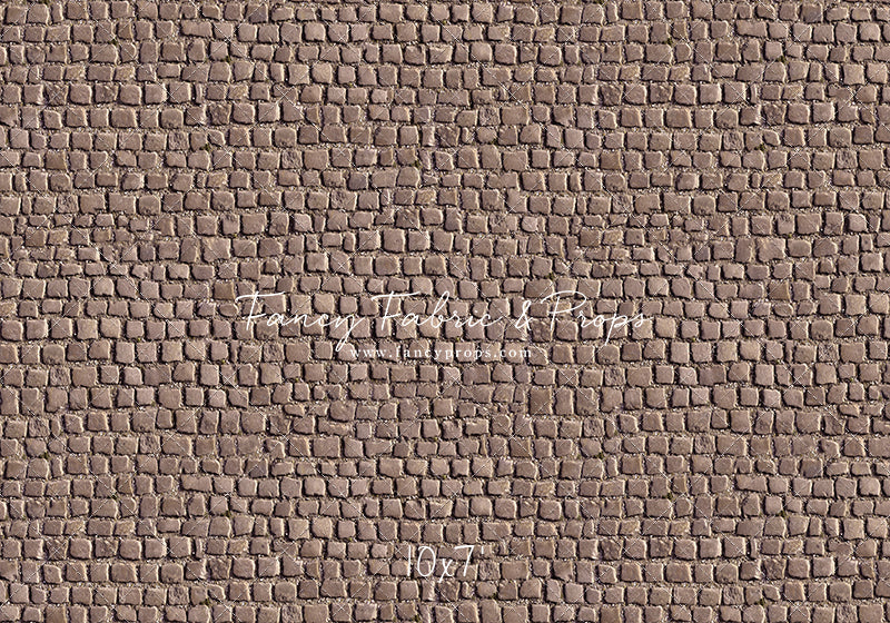 Market Place Cobblestone Floor