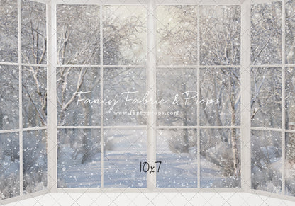 Morning Snowy Bay View