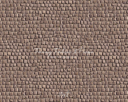 Market Place Cobblestone Floor