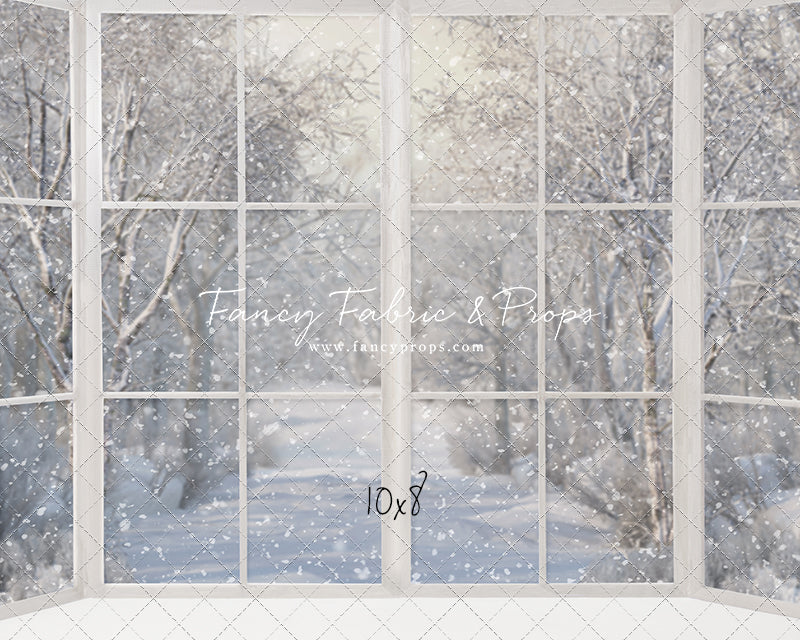 Morning Snowy Bay View