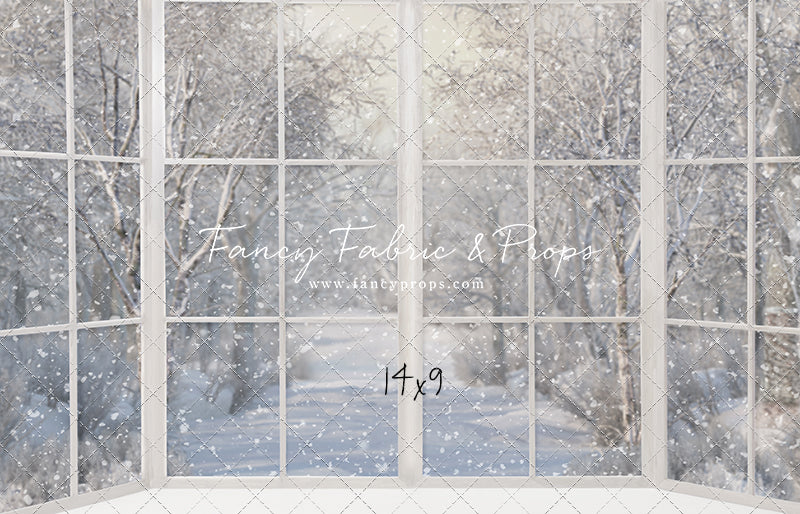 Morning Snowy Bay View