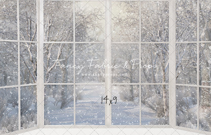 Morning Snowy Bay View