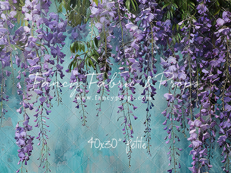 Painted Blue Wisteria  - Petite