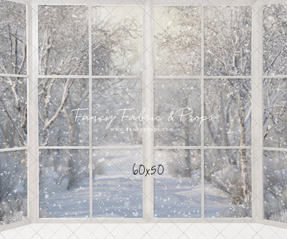 Morning Snowy Bay View