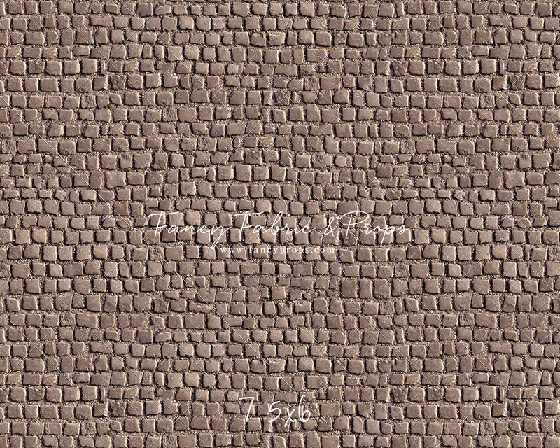 Market Place Cobblestone Floor