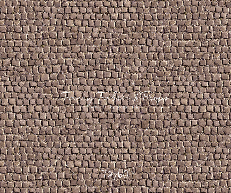 Market Place Cobblestone Floor