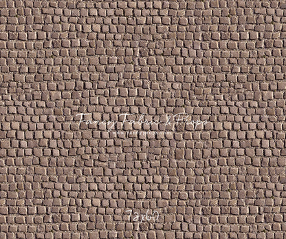 Market Place Cobblestone Floor
