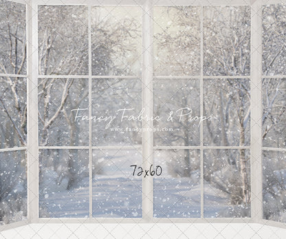 Morning Snowy Bay View