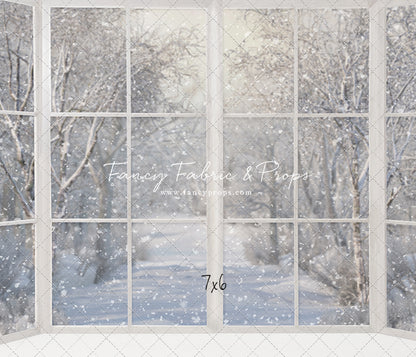 Morning Snowy Bay View