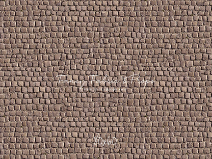 Market Place Cobblestone Floor