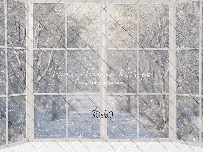 Morning Snowy Bay View