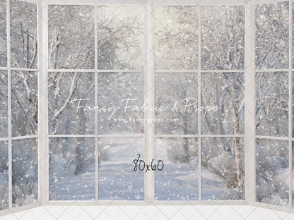 Morning Snowy Bay View