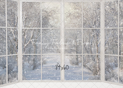 Morning Snowy Bay View