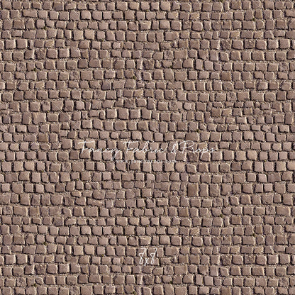 Market Place Cobblestone Floor
