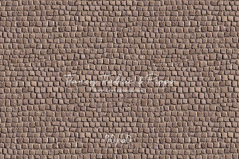 Market Place Cobblestone Floor