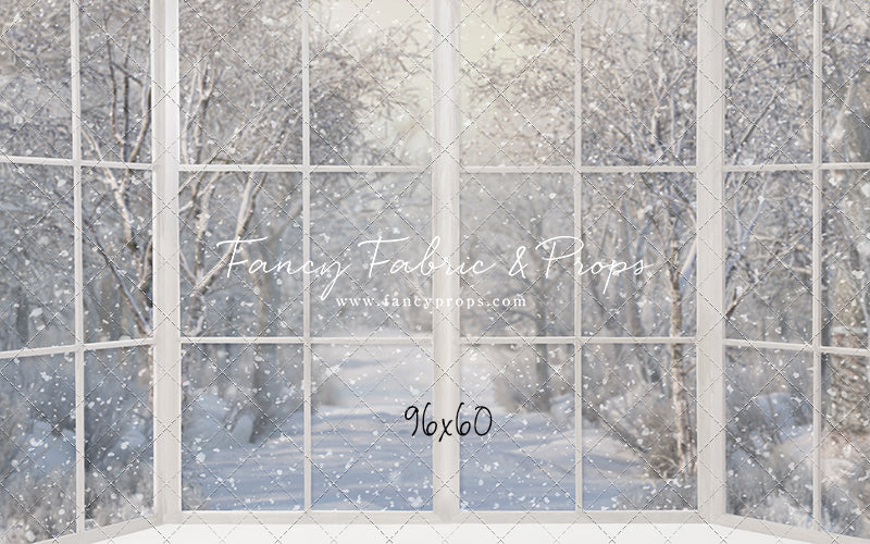 Morning Snowy Bay View