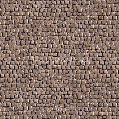 Market Place Cobblestone Floor