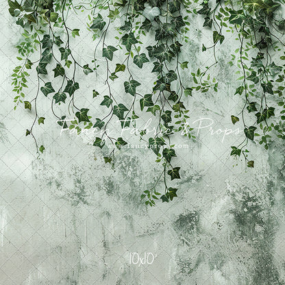 Painted Ivy