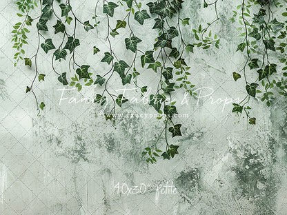 Painted Ivy  - Petite
