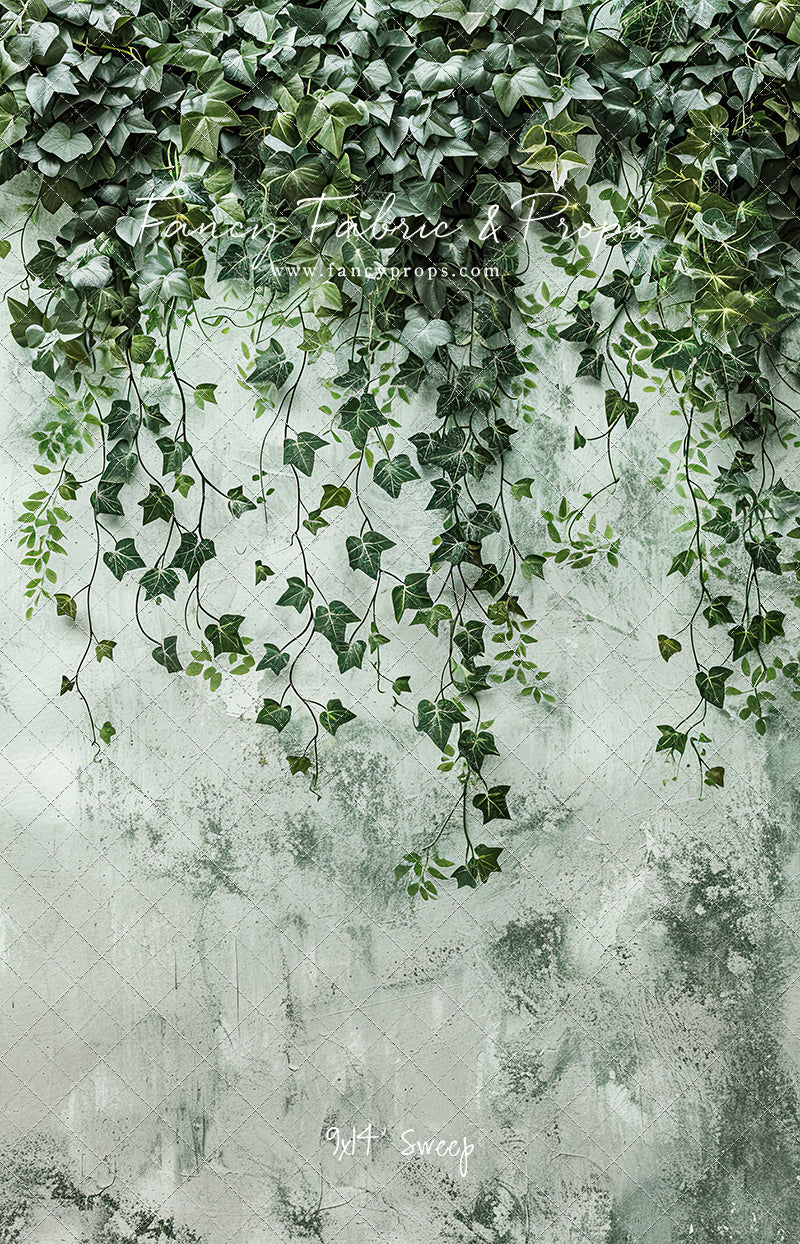 Painted Ivy