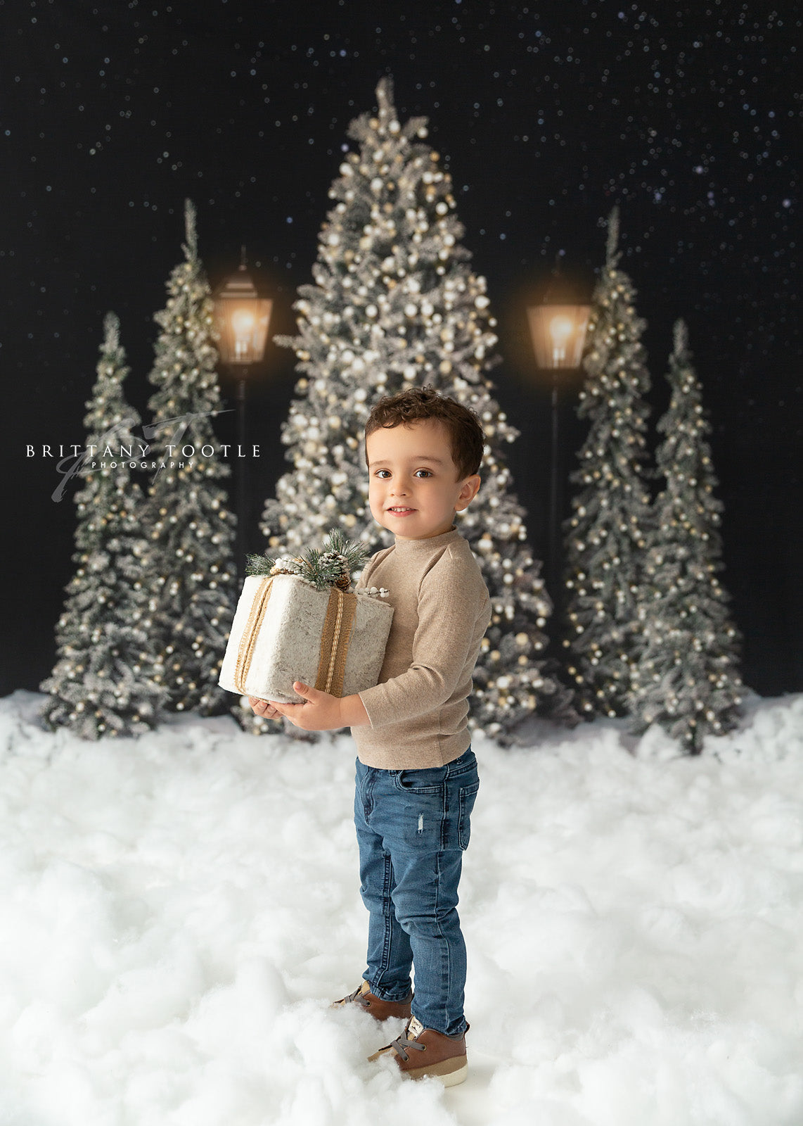 Fancy Blue Barn Doors 2pc Room